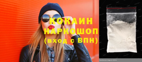 сатива Белокуриха