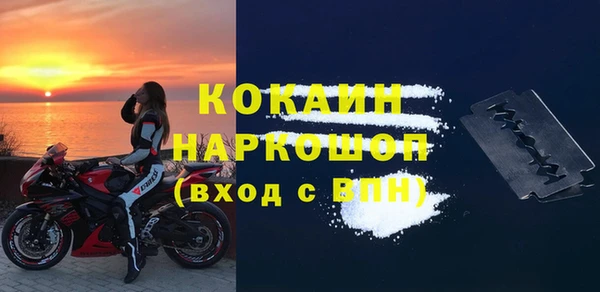 сатива Белокуриха
