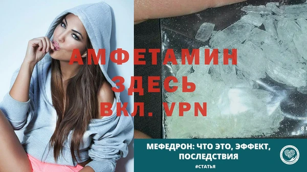 сатива Белокуриха