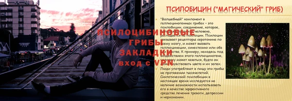 ешки Беломорск